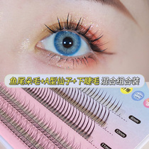 A- type fishtail mixed with Yu Shuxin fairy hairy false eyelashes grafted with natural single cluster of eyelashes