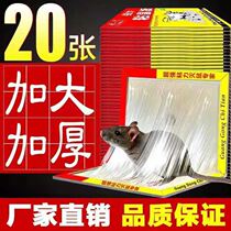 20 sheets of peanut-flavored big mouse stickers strong sticky mouse board super sticky board plus bait glue sticker paper household powerful