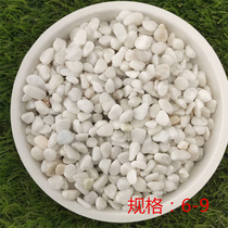 6 - 9 small stone white pebble paved ground garden decorated paved pavement paved ground massage 5 pounds
