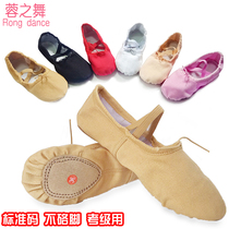 Dance shoes Childrens soft-soled cat paw practice shoes Adult mens dance body exam yoga girls ballet shoes