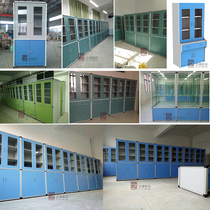 Physiochemical and biological equipment cabinet reference cabinet laboratory special cabinet filing cabinet ventilation equipment medicine cabinet with lifting strip