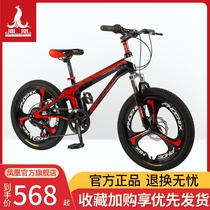 Official flagship Phoenix childrens mountain bike magnesium alloy single-speed transmission 20 inch male and female student youth bicycle