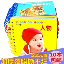 Tear the bad early education card baby toy children learn to see the picture Enlightenment cognitive book puzzle literacy card 0-3 years old