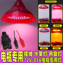 12V low voltage battery bulb 48V Fruit fresh 60V braised vegetable cooked food LED night market light stall dedicated super bright