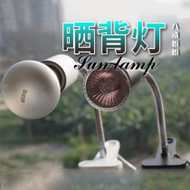 Reptile lamp holder reptile bulb sun lamp sun lamp land turtle box sun lamp heating lamp tortoise back