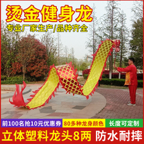 Fitness Dragon belt throwing ribbon dance Dragon Dragon Dragon Dragon Dragon Dragon Dragon Dragon Dragon Dragon Dragon ribbon color strip square dance single sports props