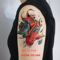 Color carp tattoo applique arm waterproof men and women flower leg arm simulation tattoo tattoo sticker Lotus Koi
