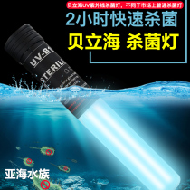 Spot UV UV germicidal lamp American Beilihai germicidal lamp Algae removal fish tank Koi fish pond Noble fish