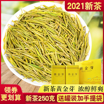 2021 New tea Before the rain Anji white tea Golden Bud tea rare alpine green Tea 250g gift box canned tea