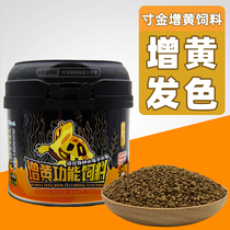 Inch gold yellow feed helmet albino Brazilian small green yellow throat egg turtle yellow stone money hair color half water turtle grain