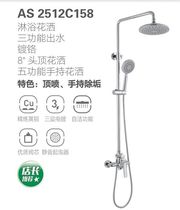 Osman bathroom shower