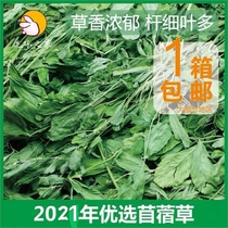 21 years drying alfalfa alfalfa Chinchilla rabbit Guinea pig green leaves multi-rod fine 750g net weight excellent