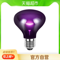 yee reptile night light UVA heating lamp lizard gecko chameleon snake tortoise special crawler UV Moonlight