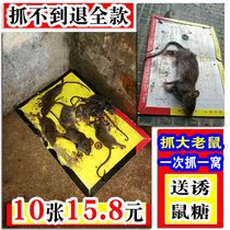 Sticky Rat Board Super Power Elephant Sticky Rat Board Rat Gum Mouse Trap Mouse Cage Molder 10 sheets