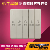 Small Bull Bath Overpower Switch Five Open Timelapse Universal 16A Large Current Integrated Built-in Free Wiring Five Libion Slip