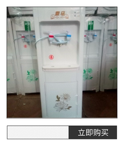 Dingma vertical pipeline direct drinking machine warm and cold filter special direct sales shock low price real product