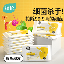 Plant protection 5 packs of wet wipes sterilization wipes portable small bags for students special baby children family
