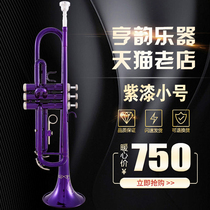 Henrhyming Musical Instrument Drop of B-tone Number of small number three sound No. 3 Trumpet Purple Lacquer Spray manufacturer direct sales Shunfeng