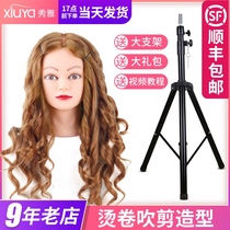 Full true hair head model apprentice can roll hot hair hair hair hair makeup hairdressing model head doll head model dummy head model