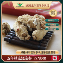 Five-year selection of short bubble ginseng Canadian American ginseng short branch round grain flower ginseng original imported gift box