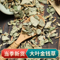 Guangxi Large Leaf Gold Money Grass 500 gr Gold Money Grass Powder Non Gold Money Herbal Tea Matching Chicken Negold Fossil Chinese Herbal Medicine