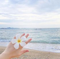 Japan and South Korea fresh seaside beach vacation photo flower frangipani hairpin edge clip headdress Hair accessories headdress accessories