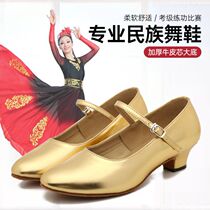 Latin Dance Shoes Golden Dance Shoes Square Dance Shoes Vibe Dance Shoes Soft-bottom Ballroom Dancing Shoes morden Xinjiang Dance