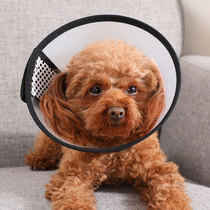 Elizabeth circle pet dog cat neck sleeve headgear dog cat headgear anti-licking collar anti-bite cat dog dog supplies
