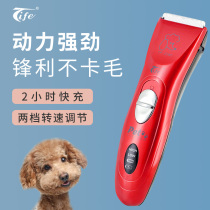Special front TP2280 pet shop special dog shaving machine cat shaving foot hair artifact professional pushing knife set