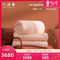 Taihu Xuezhen selected silk quilt 100 mulberry silk spring and autumn and winter quilt warm quilt quilt core mother quilt Xinrou 2 4 kg