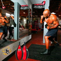 Dragon Force Dragon Power Library boxing dodge ball reaction speed training ball Tyson shake training ball