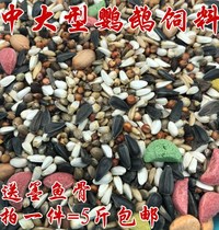 Medium and large small sun Golden Sun monk Alei red-breasted gray parrot eclectic sunflower feed bird food