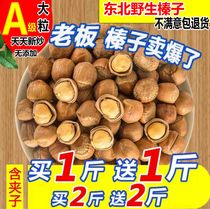 New Northeast specialty Tieling wild hazelnuts open water leakage thin skin hand pat fried nuts 500g