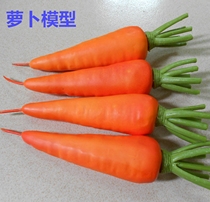 Simulation of carrot and white radish fake fruit and vegetable model photography props preschool education supplies cabinet electrical decorations
