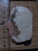 Alashan Gobi Qishi Pictogram stone Horse tooth stone Agate rough Gobi Jasper