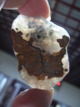 Alxa Gobi Agate rough shape Agate carving material grass flower Agate rough handle parts