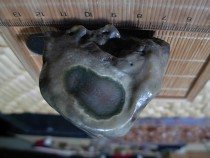 Inner Mongolia Qishi Alashan jade Jasper rough carving material Gobi Qishi Desert stone -- cry