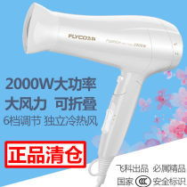  Feike hair dryer Household high-power hair salon barber shop hot and cold air does not hurt hair student hair dryer