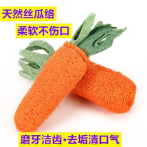 Pet Rabbit Toys Toys Carrot Silk Melon guinea Guinea Pig Dragon Cat Dutch Pig Grindroe Toy Natural Bite