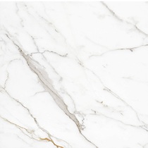 Xinghui ceramic tile White SD801006