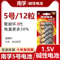 Nanfu alkaline battery No. 5 No. 7 12 sections AA No. 5 AAALR6 high-performance toys home Poly ring KTV microphone mouse remote control car hanging alarm clock small battery 1 5V