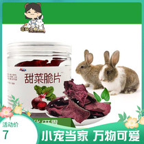 Molar beetroot crisps supplement nutrition auxiliary hair drainage to alleviate anemia guinea pig ChinChin rabbit to promote digestion