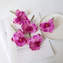 High-end business corsage Phalaenopsis opening ceremony Business wedding groom bride and groomsman bridegroom flower