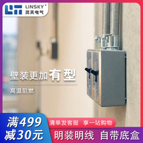 Linsky industrial wind switch stainless steel panel retro Open Line tube American open line two open dual control socket