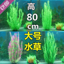 Langhu simulation water grass fish tank decoration aquarium landscape large fake water grass height 80cm rear view