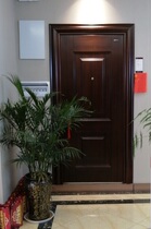 The Guangyuan store Wang Li L908 security door