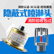 Minxing ZSTDY fire sprinkler head Hotel fire sprinkler concealed nozzle concealed nozzle
