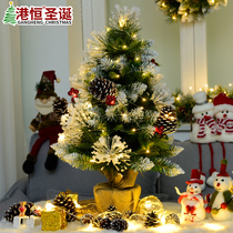 Hong Kong Heng snow Christmas tree desktop potted pine needle tree decorations home Net red Christmas party supplies