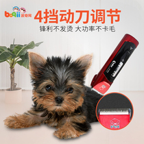 Bochy net codels pet electric clipper CP-9500 pet shaving electric clipper golden hair hair shaving machine