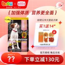 Porch Newton S2 Golden Hair Husky imported universal medium and large dog puppy food Chicken dog food 11 4kg
